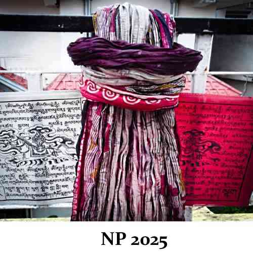 Sariprodukter - Produktnr: NP2025