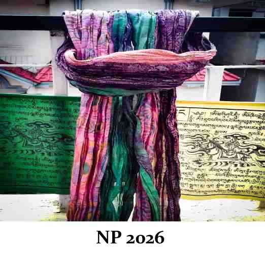 Sariprodukter - Produktnr: NP2026